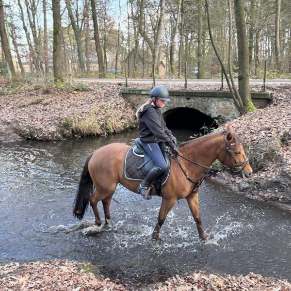 Doen - Ruiters - Doorwaadplaats